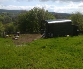 Serendipity Shepherd Hut