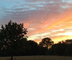 Dawn Chorus Holidays