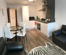 Modern Apartment near Bullring