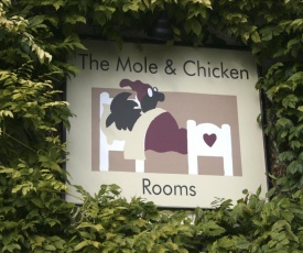 The Mole and Chicken